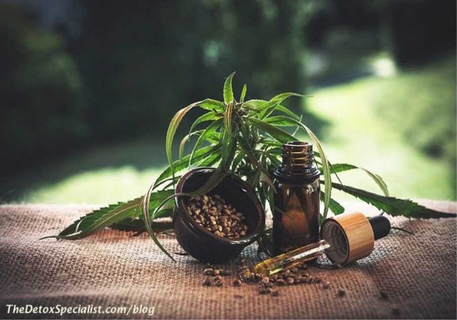 How Can CBD Oil Help In Your Detox Process?