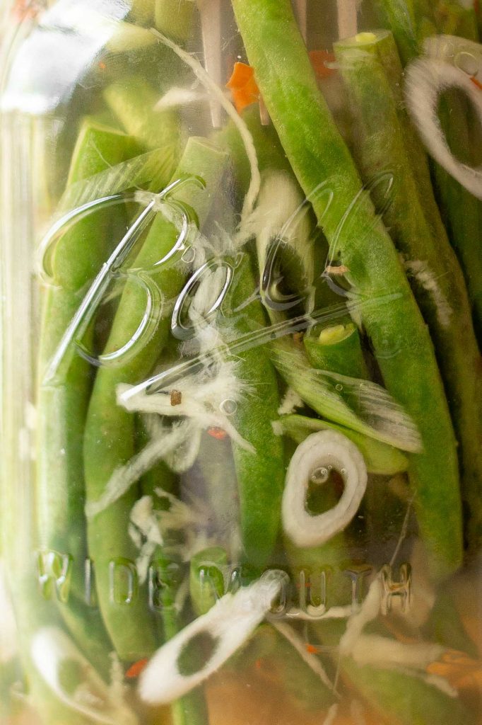 The Best Lacto-Fermented Green Beans with Ginger and Scallions