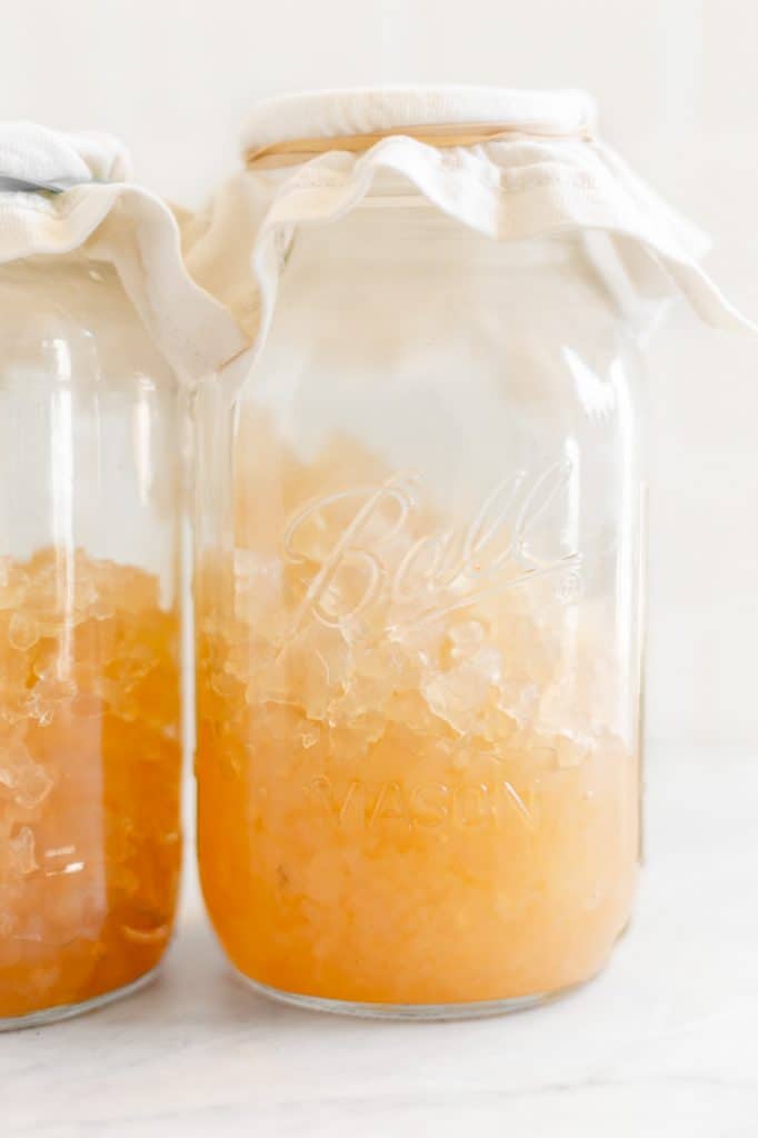 The Difference Between Water Kefir and Kombucha; Which One is Healthier?