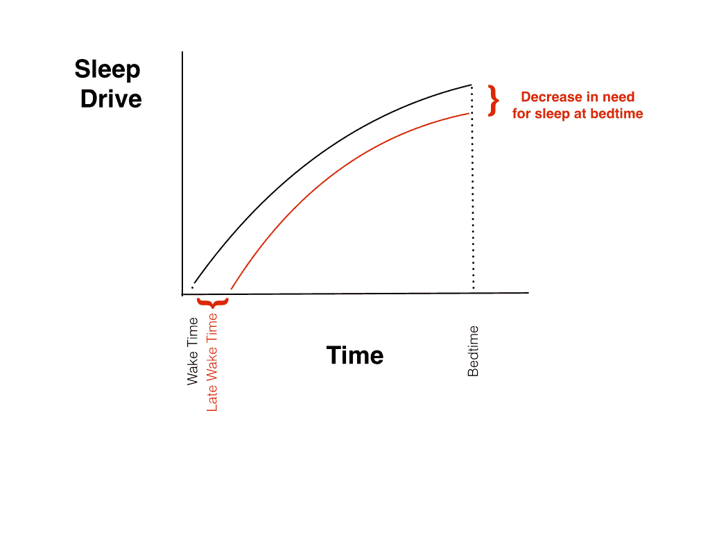 Sleeping in reduces sleepiness at bedtime. 