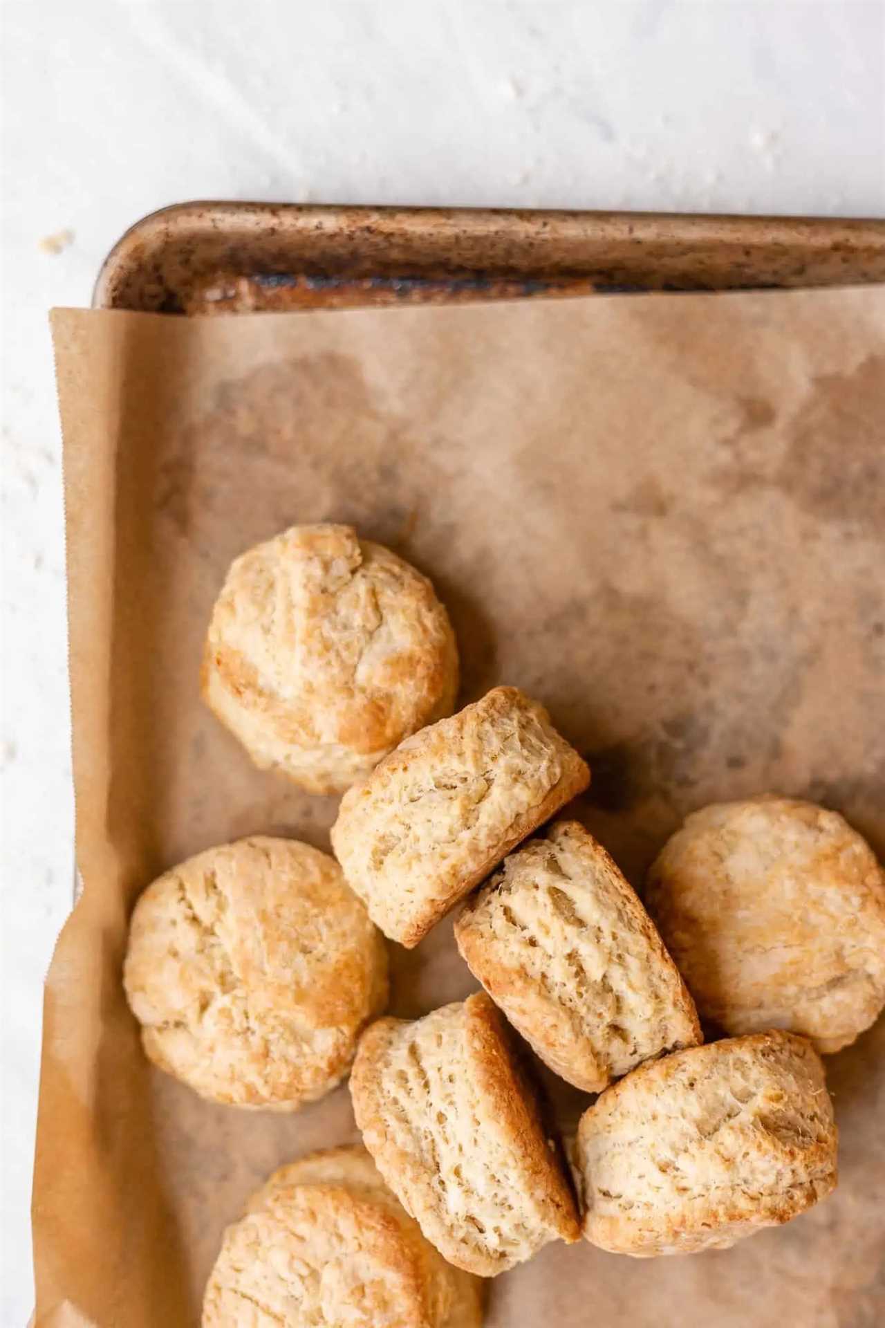 Eight golden baked sourdough biscuits on a rapprochement paper lined sheet pan
