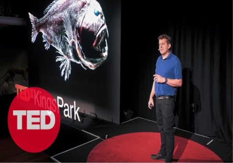 Meet the Mysterious “Monsters” of the Deep Sea | Alan Jamieson | TED