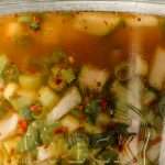 Green Onion Kimchi Inspired Fermented Relish
