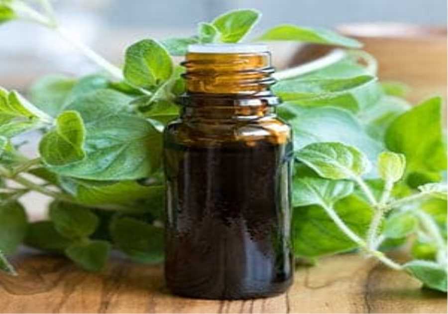 15 Oregano Oil Uses & Benefits for Your Health