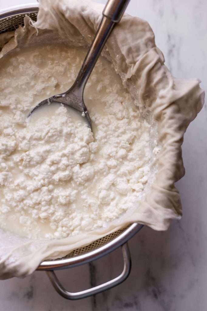 How to Make Cottage Cheese Fermented with Probiotic Cultures